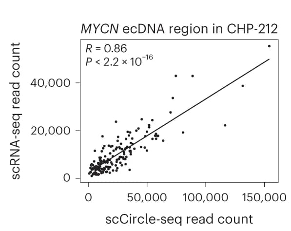 Open access visualization of Scatter Plot, Regression Plot, Pairwise Comparison, ecDNA, mRNA
