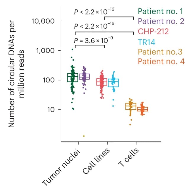 Open access visualization of Box Plot, Scatter Plot, Circular DNA, Primary Tumor Nuclei, Neuroblastoma Cell Line