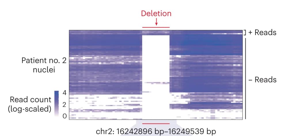 Open access visualization of Heatmap, Reads, Deletion, ecDNA, Single Nuclei