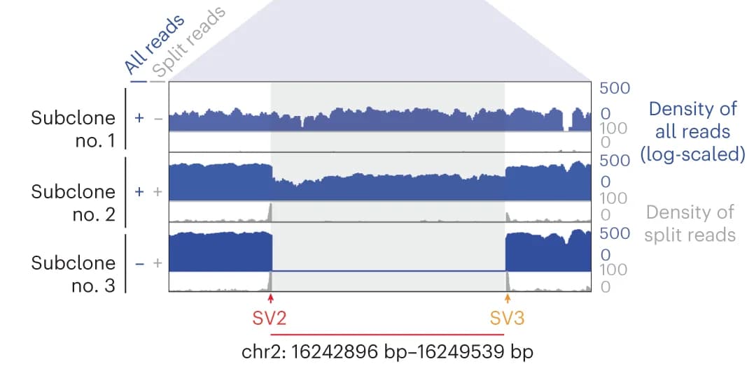 Open access visualization of Line Plot, Density Plot, Genome Tracks, Clone Variants, Deletion