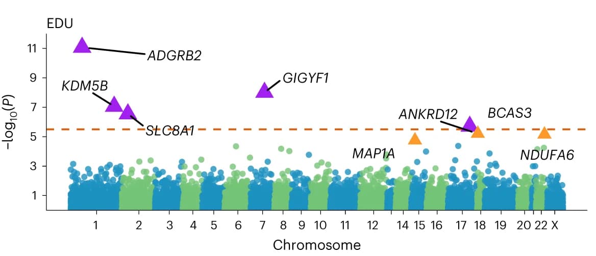 Open access visualization of Scatter Plot, Manhattan Plot, Volcano Plot, Exome-wide Association Study, Gene-based Analysis