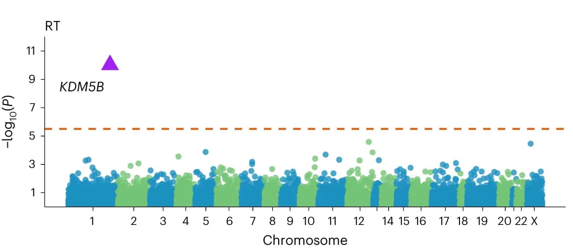 Open access visualization of Manhattan Plot, Exome-wide Association Study, Gene-based Analysis, Protein-truncating Variants, P-value