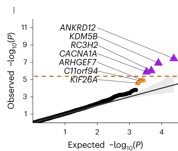 Open access visualization of QQ Plot, Q-Q Plot, P-value, Exome-wide Association Study, Gene-based Analysis