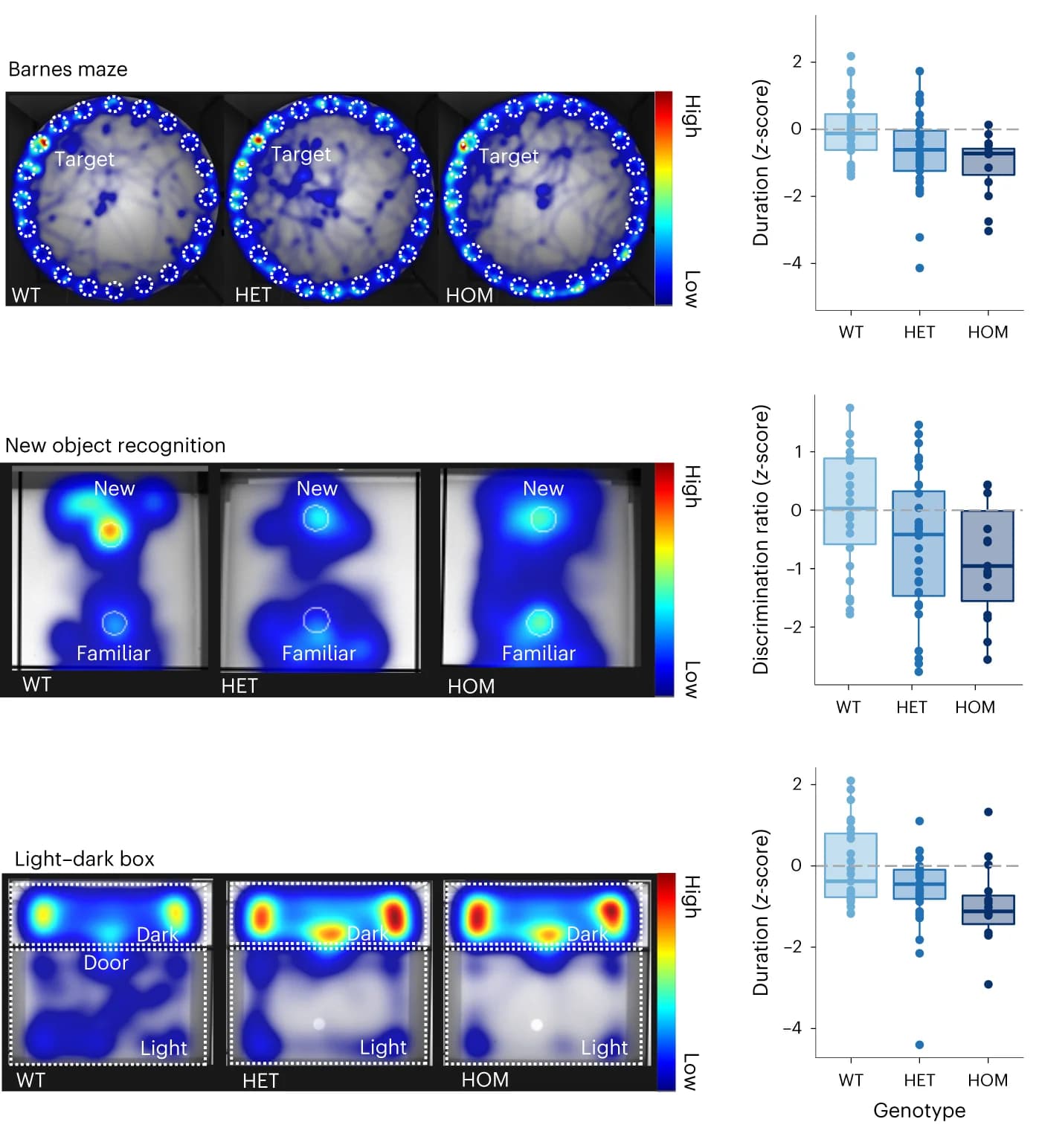 Open access visualization of Box Plot, Scatter Plot, Spatial Memory, Object Recognition Memory, Anxiety