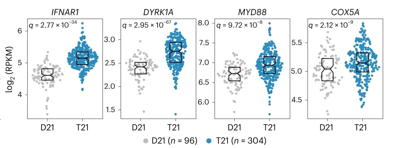 Open access visualization of Violin Plot, Box Plot, Scatter Plot, Sina Plots, Differentially Expressed Genes