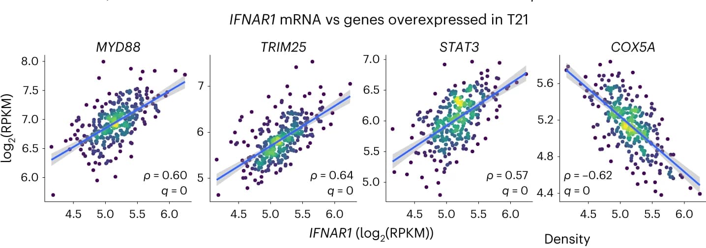 Open access visualization of Scatter Plot, Regression Plot, Density Plot, Scatter Plots, IFNAR1 Expression