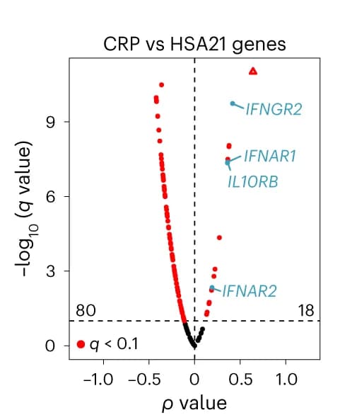 Open access visualization of Volcano Plot, Spearman Correlations, CRP Levels, mRNAs
