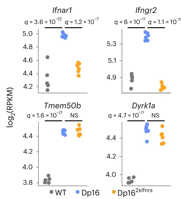 Open access visualization of Scatter Plot, Expression Levels, mRNAs, Lymph Nodes