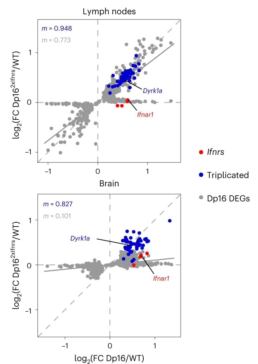 Open access visualization of Scatter Plot, Regression Plot, Volcano Plot, Scatter Plots, mRNA FoldChanges