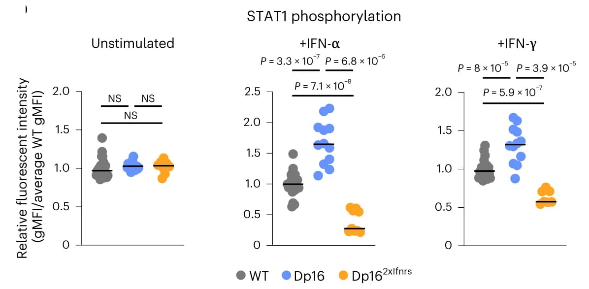 Open access visualization of Scatter Plot, gMFI, Flow Cytometry, Phosphorylated STAT1, WBCs