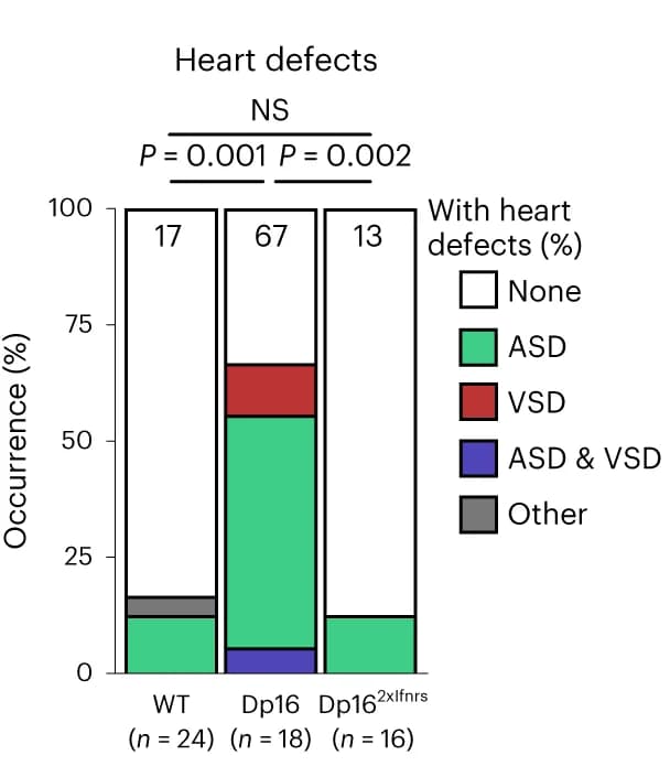 Open access visualization of Stacked Bar Plot, Heart Malformation, Outflow Tract Anomaly, CHD, Genotypes