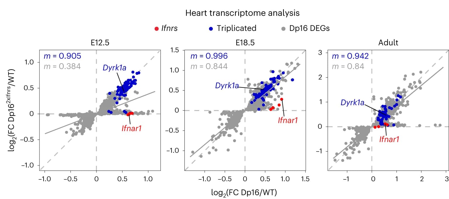 Open access visualization of Scatter Plot, Regression Plot, Scatter Plots, mRNA Fold-Changes, Heart Tissue