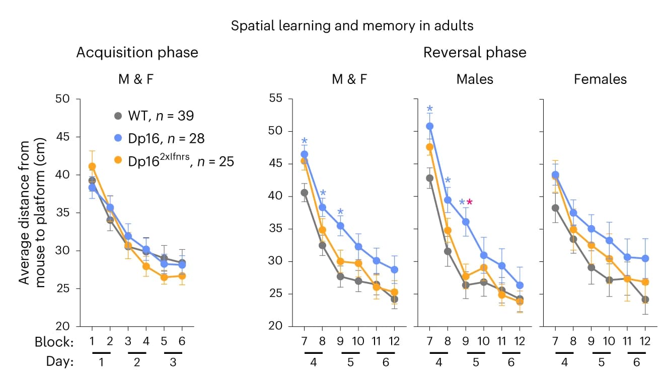 Open access visualization of Line Plot, Error Bars, Swim Path Efficiency, Mice, MWM