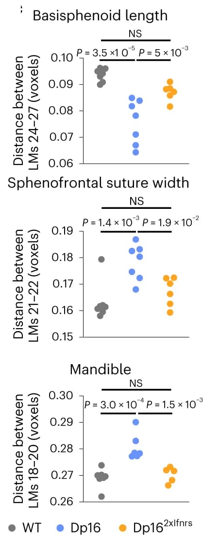 Open access visualization of Scatter Plot, Interlandmark Distances, Bootstrapping, ANOVA