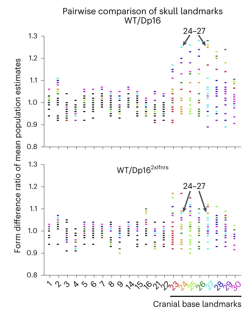 Open access visualization of Scatter Plot, Skull, Cranial Base, Bootstrapping, Population Estimates