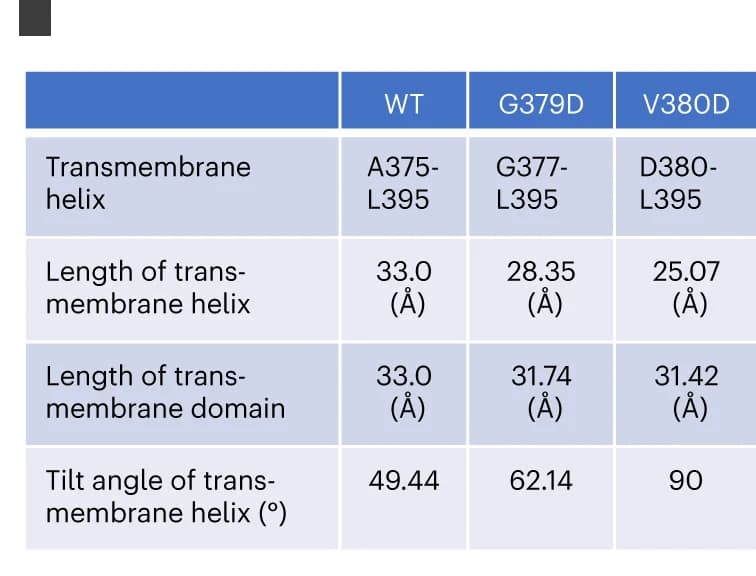 Open access visualization of Table Image, TM Helix, Mutant CADM1, Protein Modeling, CADM1 Variants
