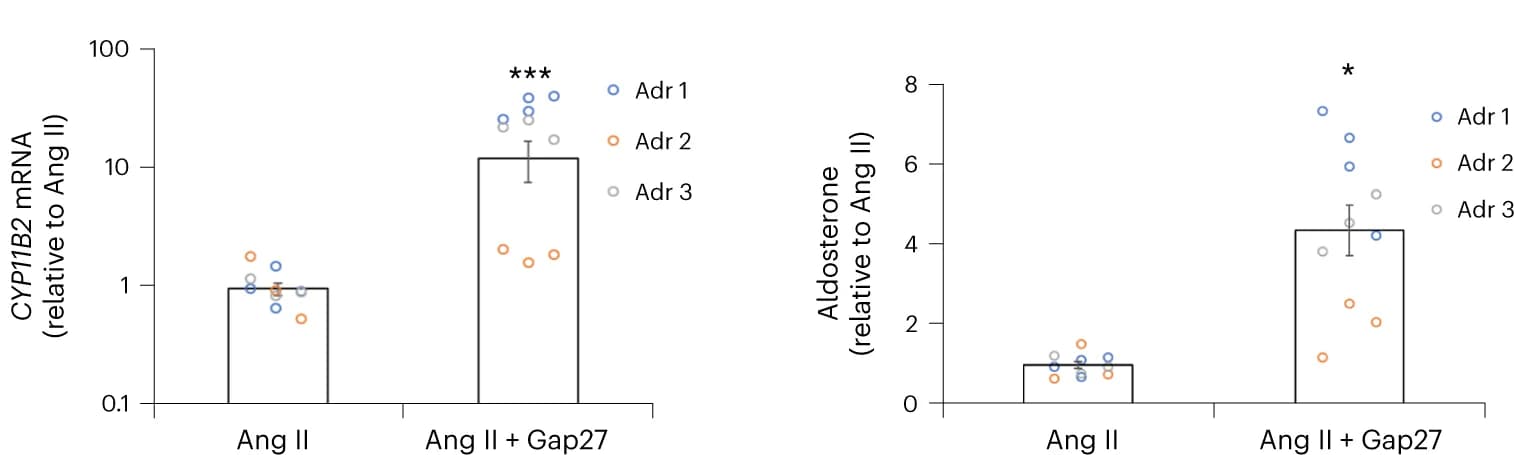 Open access visualization of Bar Plot, Scatter Plot, Error Bars, Gap27, CYP11B2 Expression