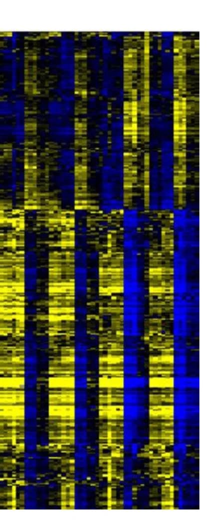 Open access visualization of Heatmap, Differentially Expressed Genes, CADM1, H295R Cells, EV