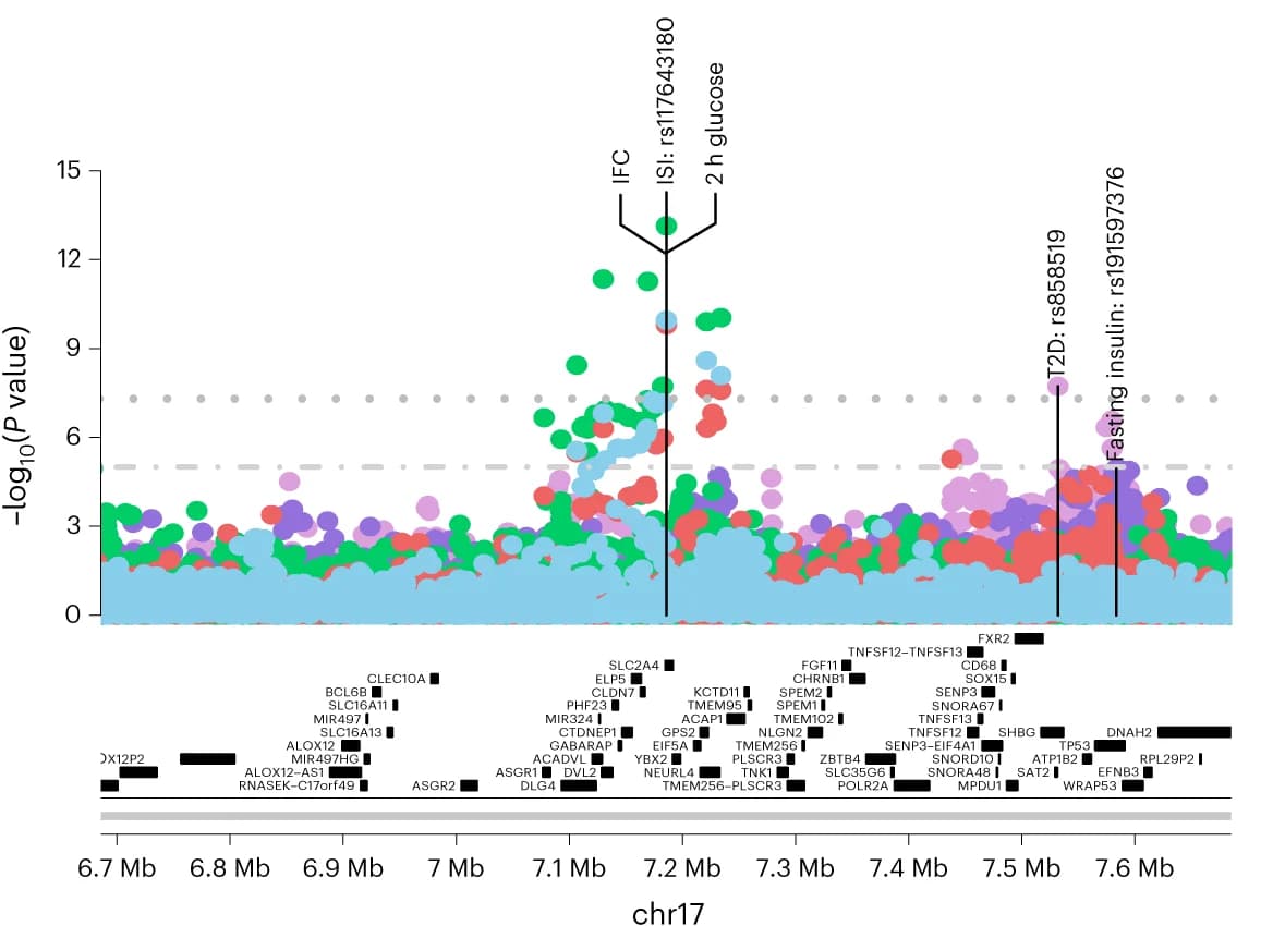 Open access visualization of Manhattan Plot, Scatter Plot, Regional association plot, SLC2A4, IFC