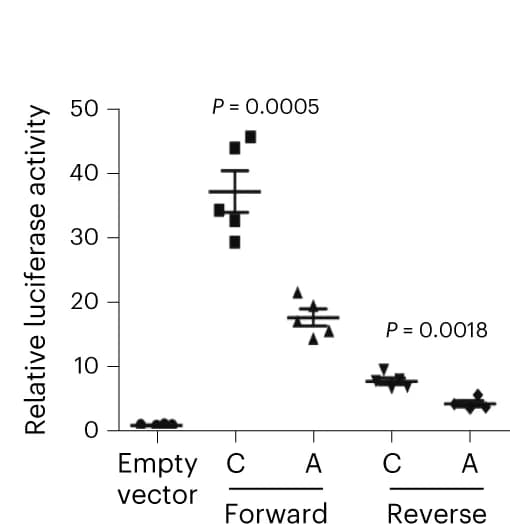 Open access visualization of Scatter Plot, Error Bars, Allelic differences, Transcriptional activity, Fold change