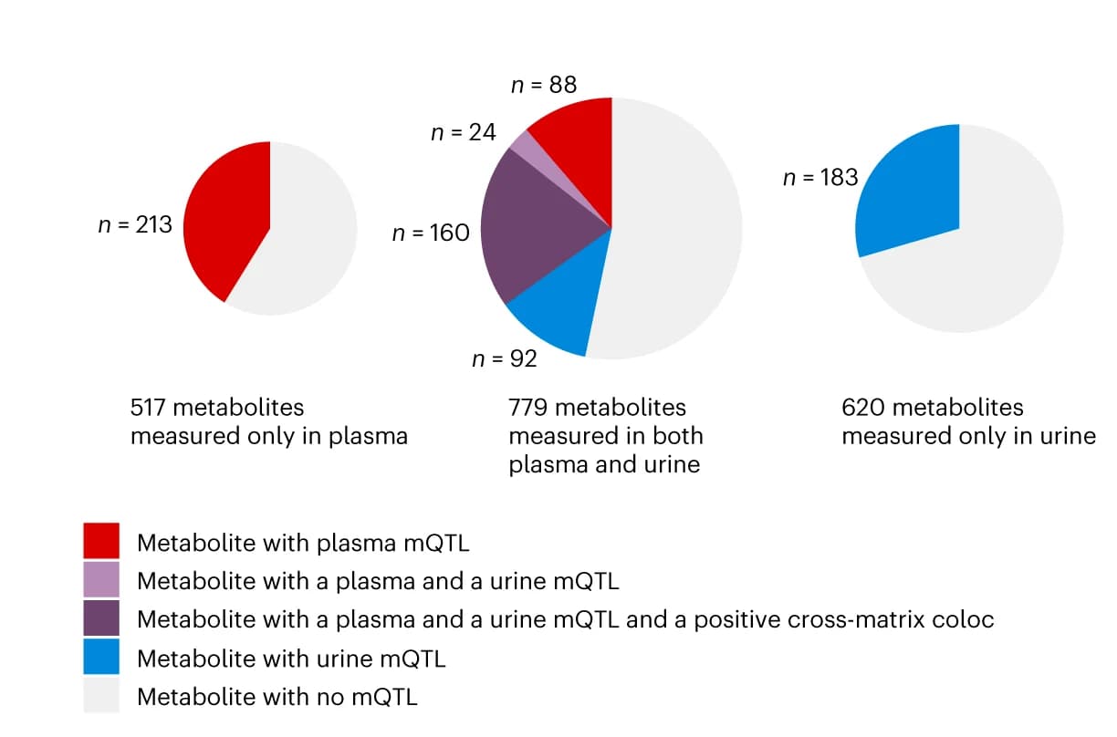Open access visualization of Pie Chart, Metabolites, mQTL, Measurement Matrix