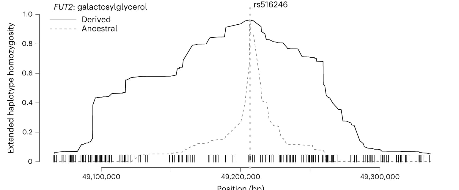 Open access visualization of Line Plot, Haplotype, mQTL, FUT2 locus, SNP
