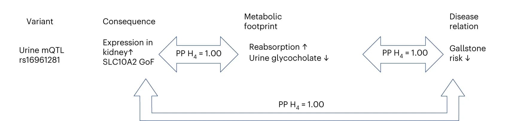 Open access visualization of Flowchart, Urine mQTL, Urine, Minor Allele, SLC10A2