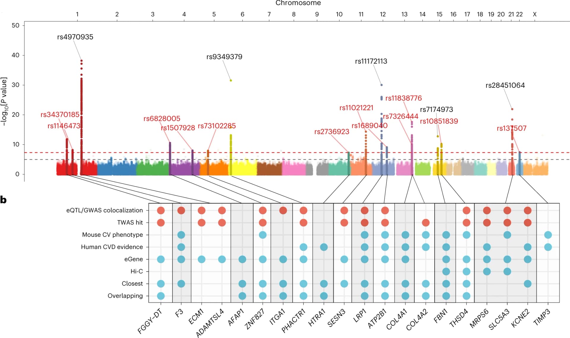 Open access visualization of Manhattan Plot, Scatter Plot, SNP, Meta-Analysis, SCAD