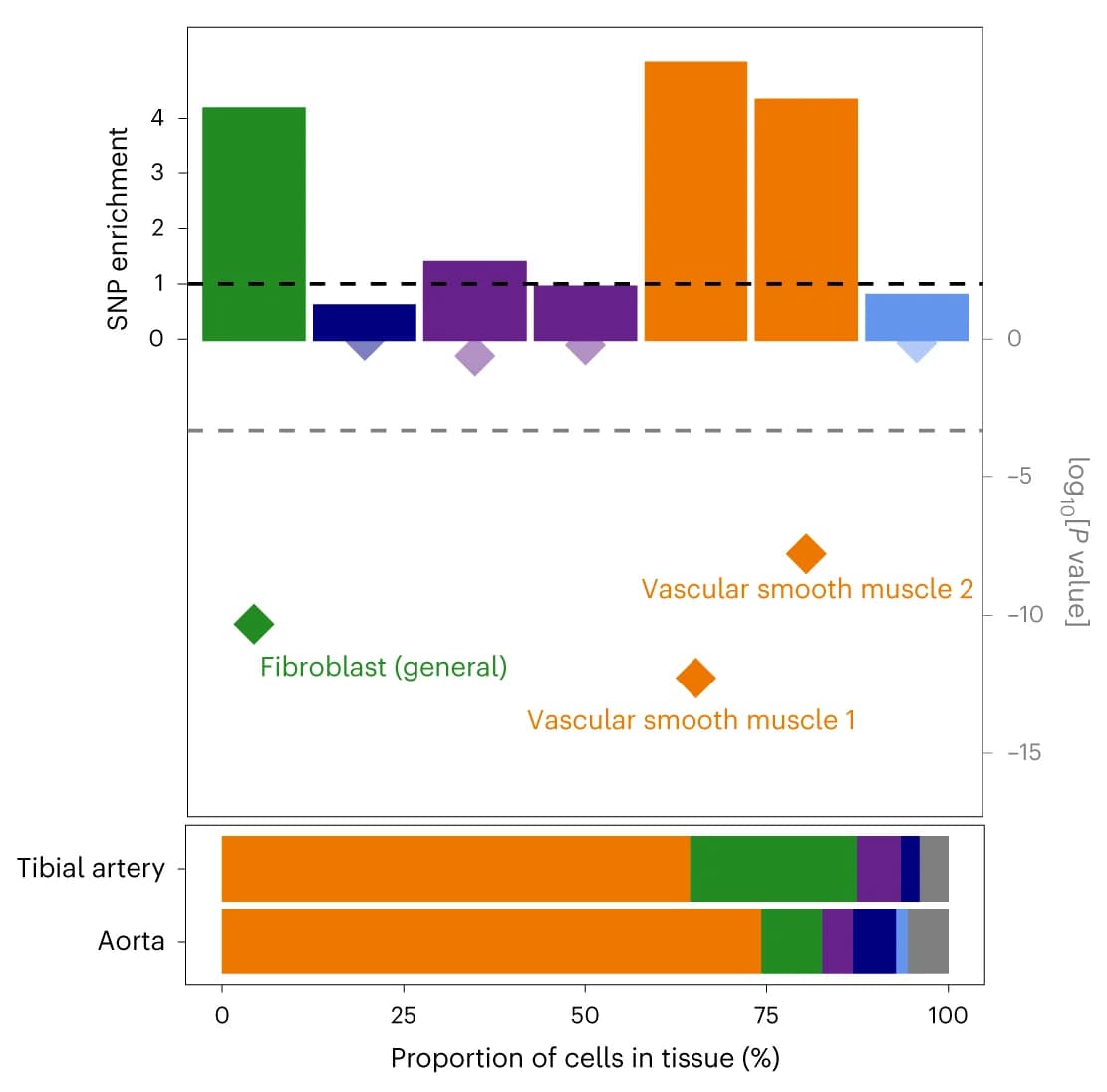 Open access visualization of Bar Plot, Scatter Plot, Stacked Bar Plot, Fold-enrichment, SCAD SNPs