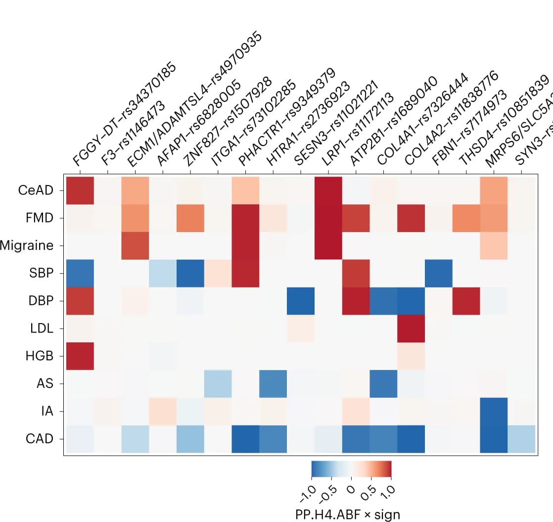 Open access visualization of Heatmap, SCAD, GWAS, Cardiovascular Diseases, Cervical Artery Dissection