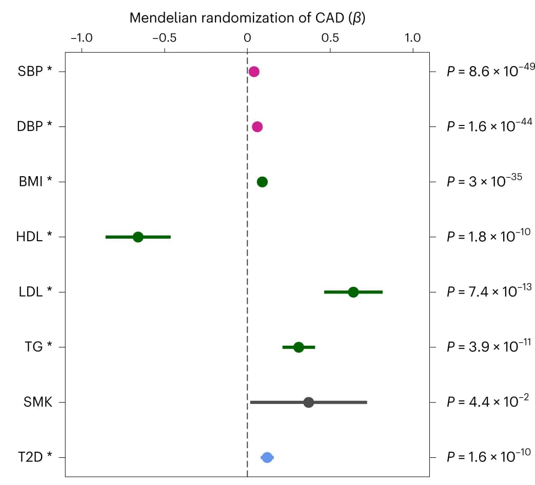 Open access visualization of Forest Plot, Mendelian Randomization, Cardiovascular Risk Factors, CAD, Association Estimates