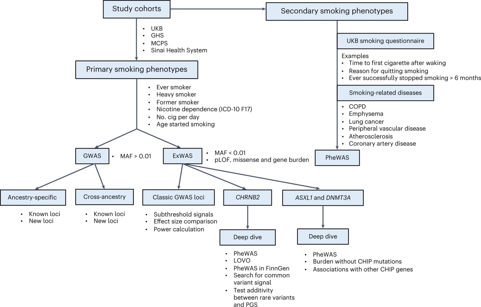 Open access visualization of Workflow, Flowchart, Study Design, Cohorts, Phenotypes