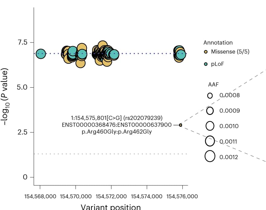 Open access visualization of Scatter Plot, Bubble Plot, Locuszoom Plot, LOVO analysis, CHRNB2