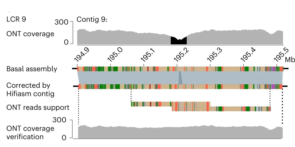 Open access visualization of Line Plot, Line Step, Schematic Representation, Gap, LCR