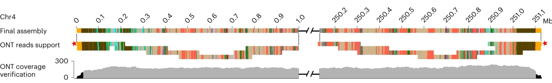 Open access visualization of Line Plot, Line Step, Assembly Validation, Chromosome, ONT Reads