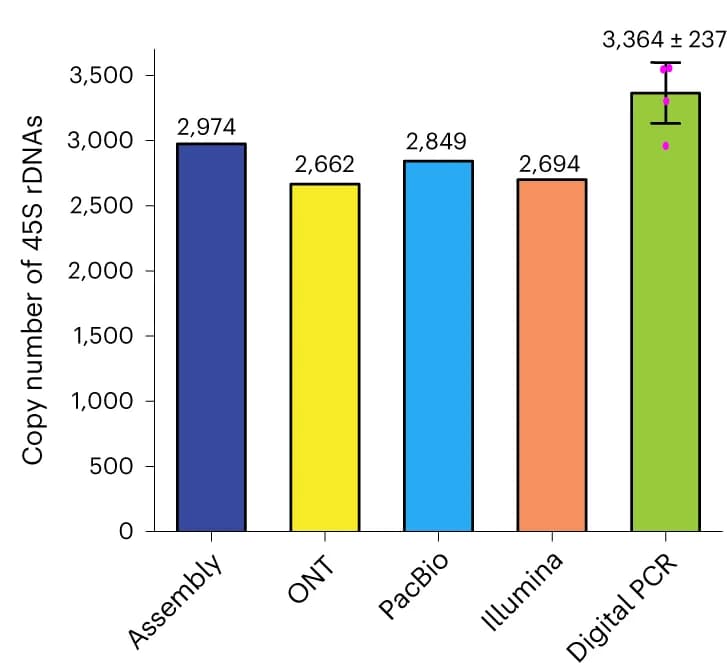 Open access visualization of Bar Plot, Error Bars, 45S rDNA, Assembly, Ultralong ONT data