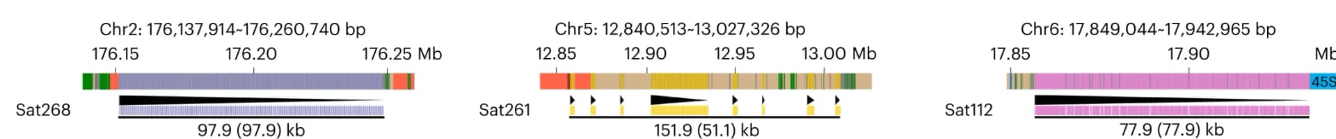 Open access visualization of Illustration, Genome Structure, Sat266 Array, Sat261 Array, Sat112 Array