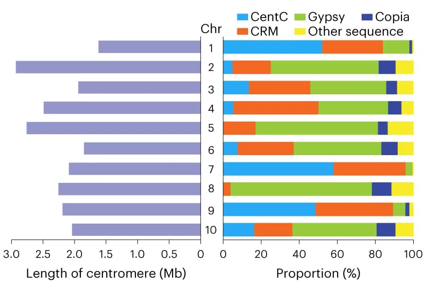 Open access visualization of Bar Plot, Stacked Bar Plot, Centromere, Sequence composition