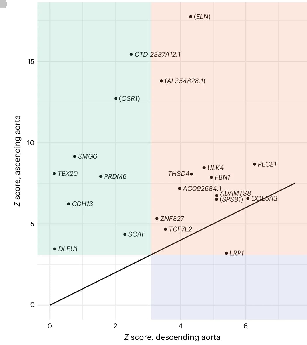 Open access visualization of Scatter Plot, Regression Plot, Descending Aortic Diameter, Ascending Aortic Diameter, TAAD Risk Variants
