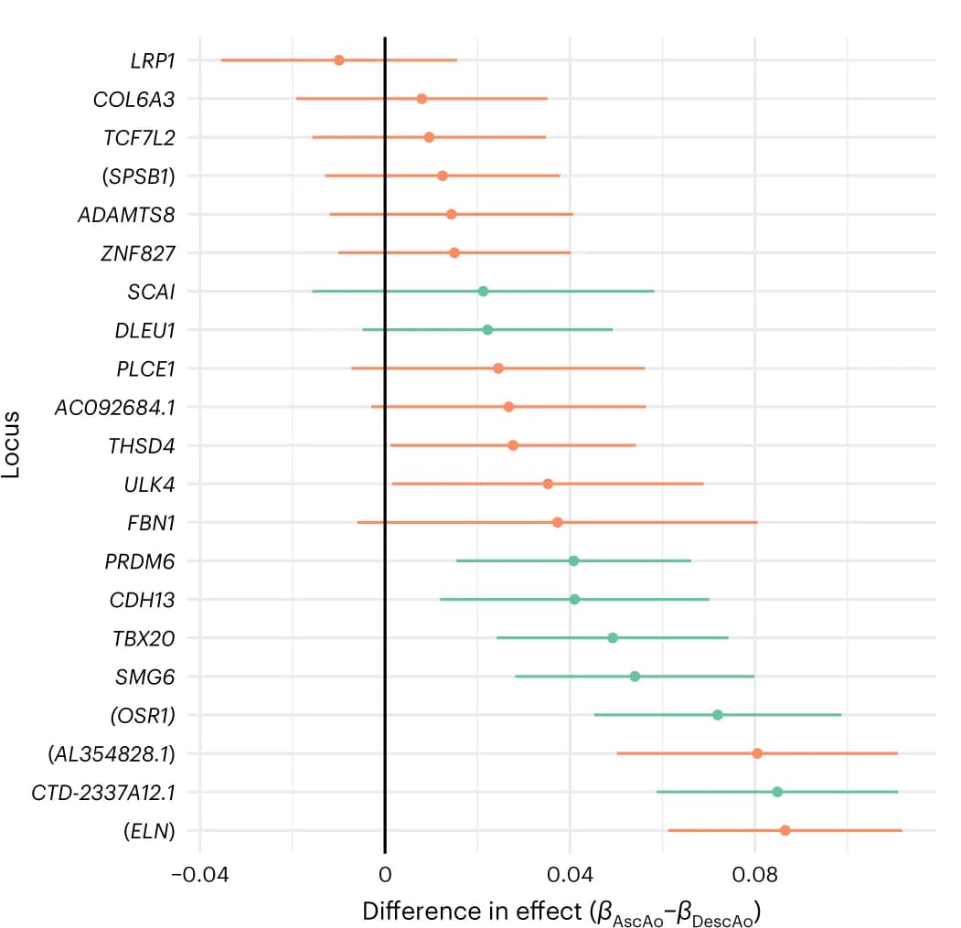 Open access visualization of Forest Plot, Effect Estimates, TAAD Risk Variants, Summary Statistics, UK Biobank