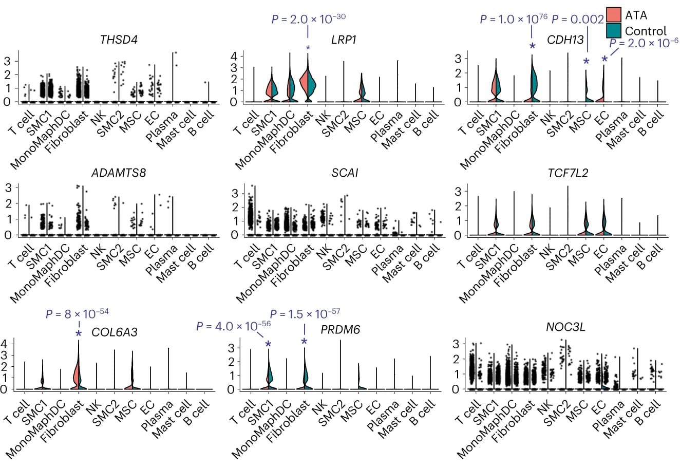 Open access visualization of Violin Plot, Box Plot, Scatter Plot, Violin plots, Causal genes