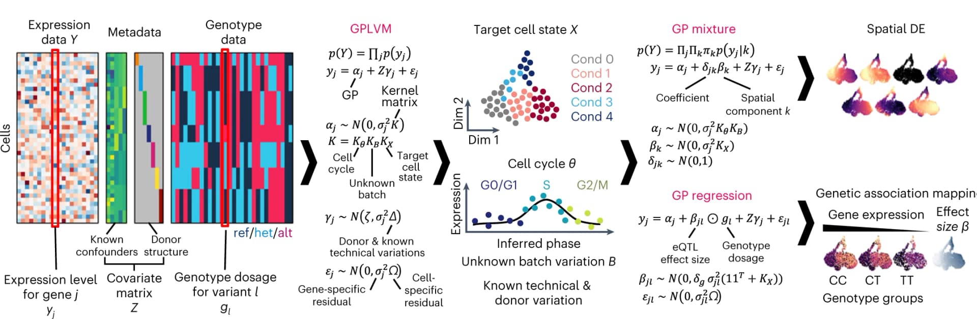 Open access visualization of Scatter Plot, Line Plot, Heatmap, GASPACHO Framework, Expression Data