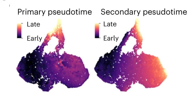 Open access visualization of Heatmap, Pseudotime, Primary Response, Secondary Response, GP Mixture Model