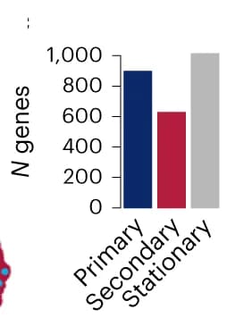 Open access visualization of Bar Plot, Barplot, Response Genes, Stationary Genes