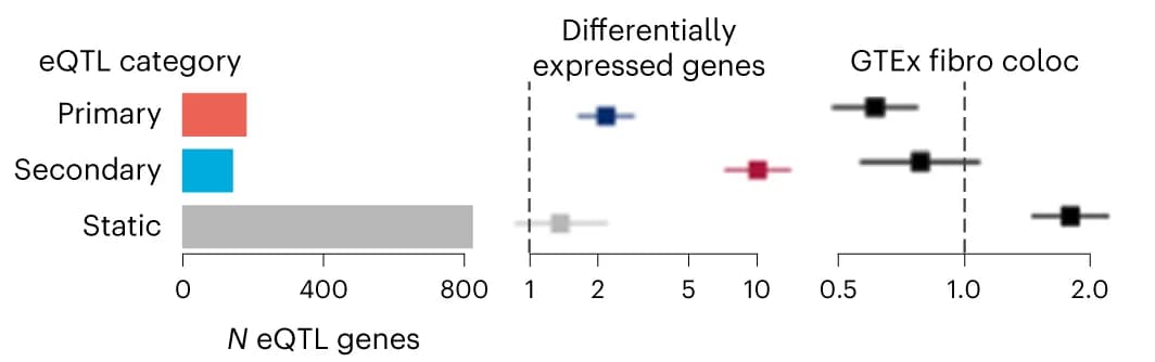 Open access visualization of Bar Plot, Error Bars, Static eQTLs, Dynamic eQTLs, Primary Response eQTLs