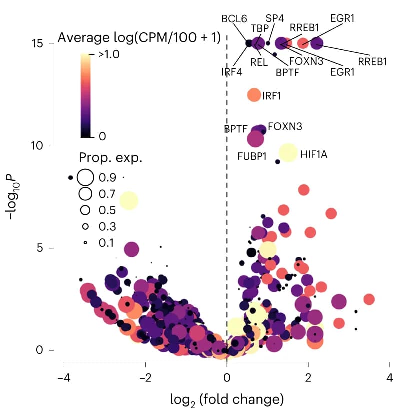 Open access visualization of Volcano Plot, Bubble Plot, eQTL variants, TF motifs, CPM
