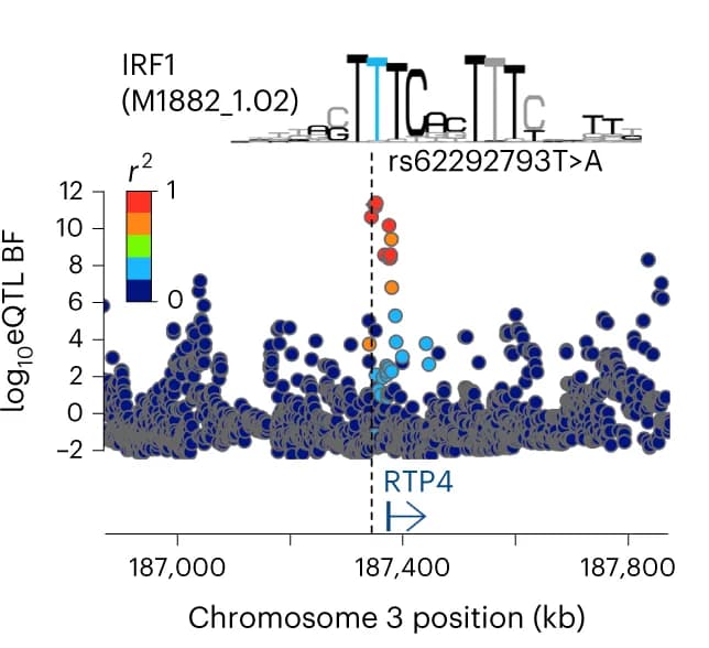 Open access visualization of Locuszoom Plot, Scatter Plot, Locus Zoom Plot, RTP4 eQTL, Bayes Factors
