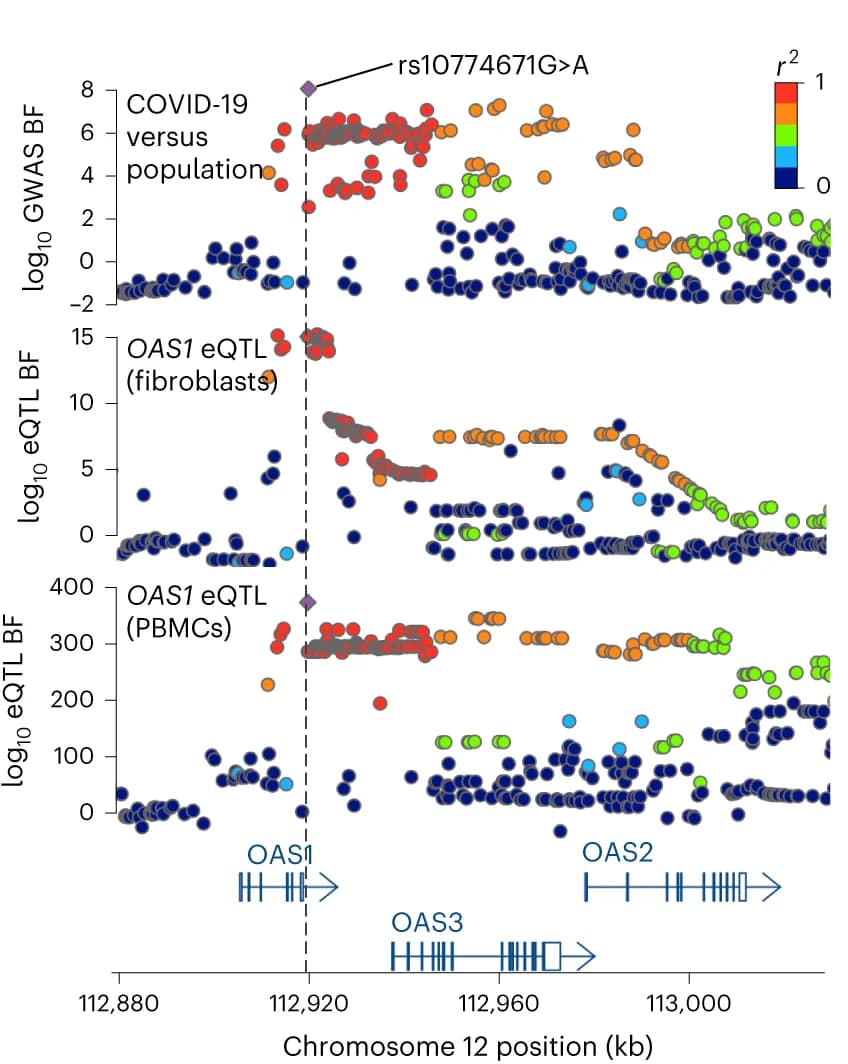 Open access visualization of Scatter Plot, Manhattan Plot, Locuszoom Plot, Locus Zoom Plots, COVID-19 GWAS