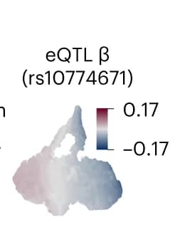 Open access visualization of Geo Map, UMAP, eQTL, OAS1 Gene, rs10774671