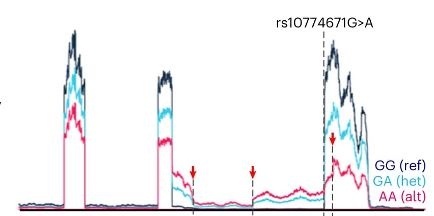 Open access visualization of Line Plot, Sequencing Coverage Depth, Splicing Variant, rs10774671, Isoforms